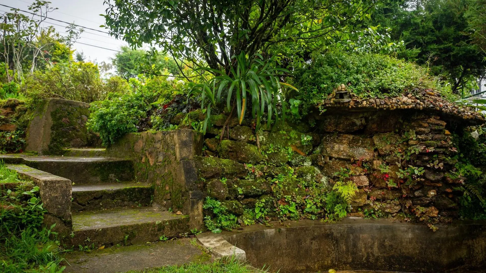 Tranquil Garden - Near Nuwaraeliya Town Bed & Breakfast Nuwara Eliya