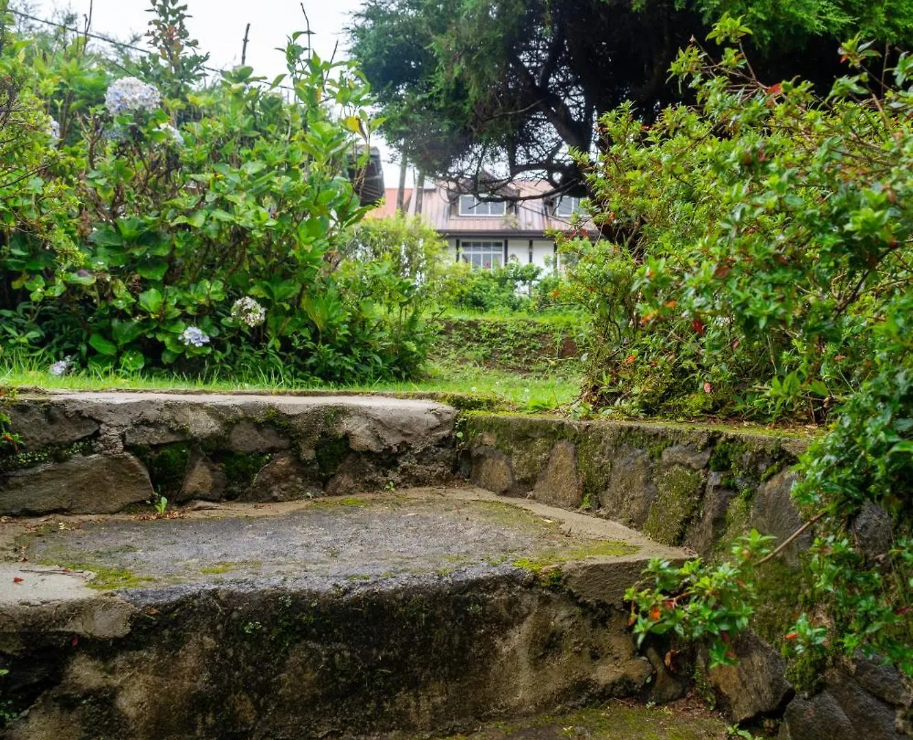 Tranquil Garden - Near Nuwaraeliya Town Bed & Breakfast Nuwara Eliya