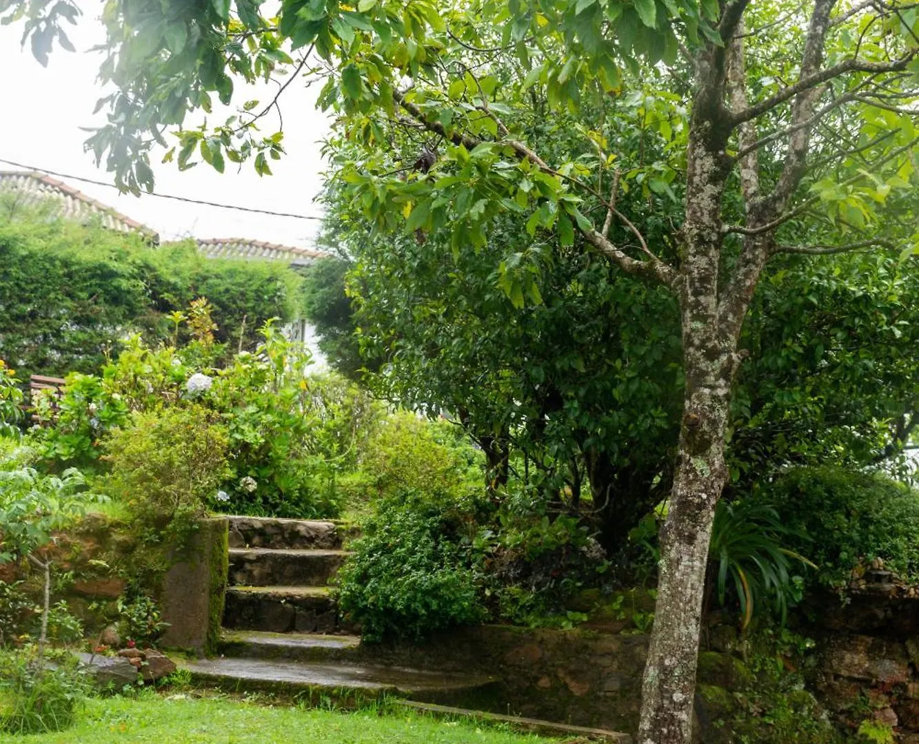 Tranquil Garden - Near Nuwaraeliya Town Bed & Breakfast Nuwara Eliya 0*,