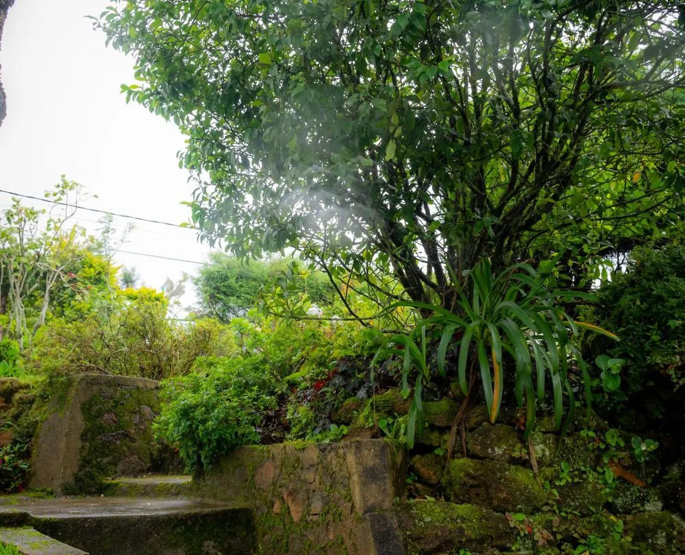 Tranquil Garden - Near Nuwaraeliya Town Bed & Breakfast Nuwara Eliya