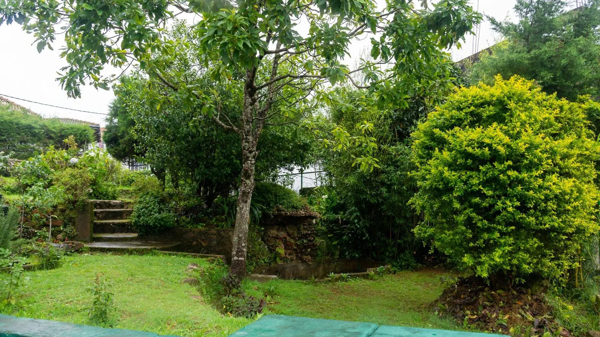 Tranquil Garden - Near Nuwaraeliya Town Bed & Breakfast Nuwara Eliya Sri Lanka